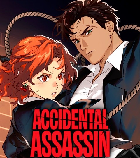 Accidental Assassin封面